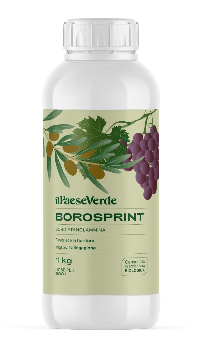 Borosprint Concime Liquido a Base di Boro 1kg