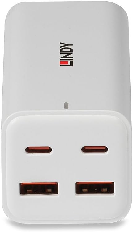 Lindy 73441 Caricatore GAN da 100 W con 4 Porte USB Tipo A e C - immagine 2