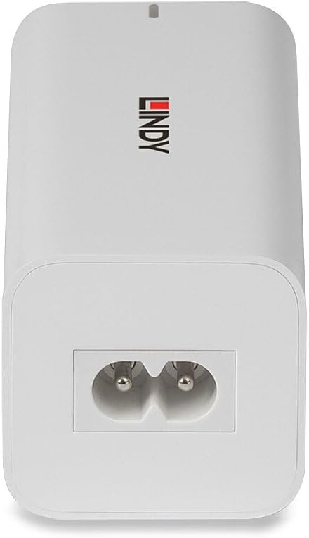 Lindy 73441 Caricatore GAN da 100 W con 4 Porte USB Tipo A e C - immagine 4