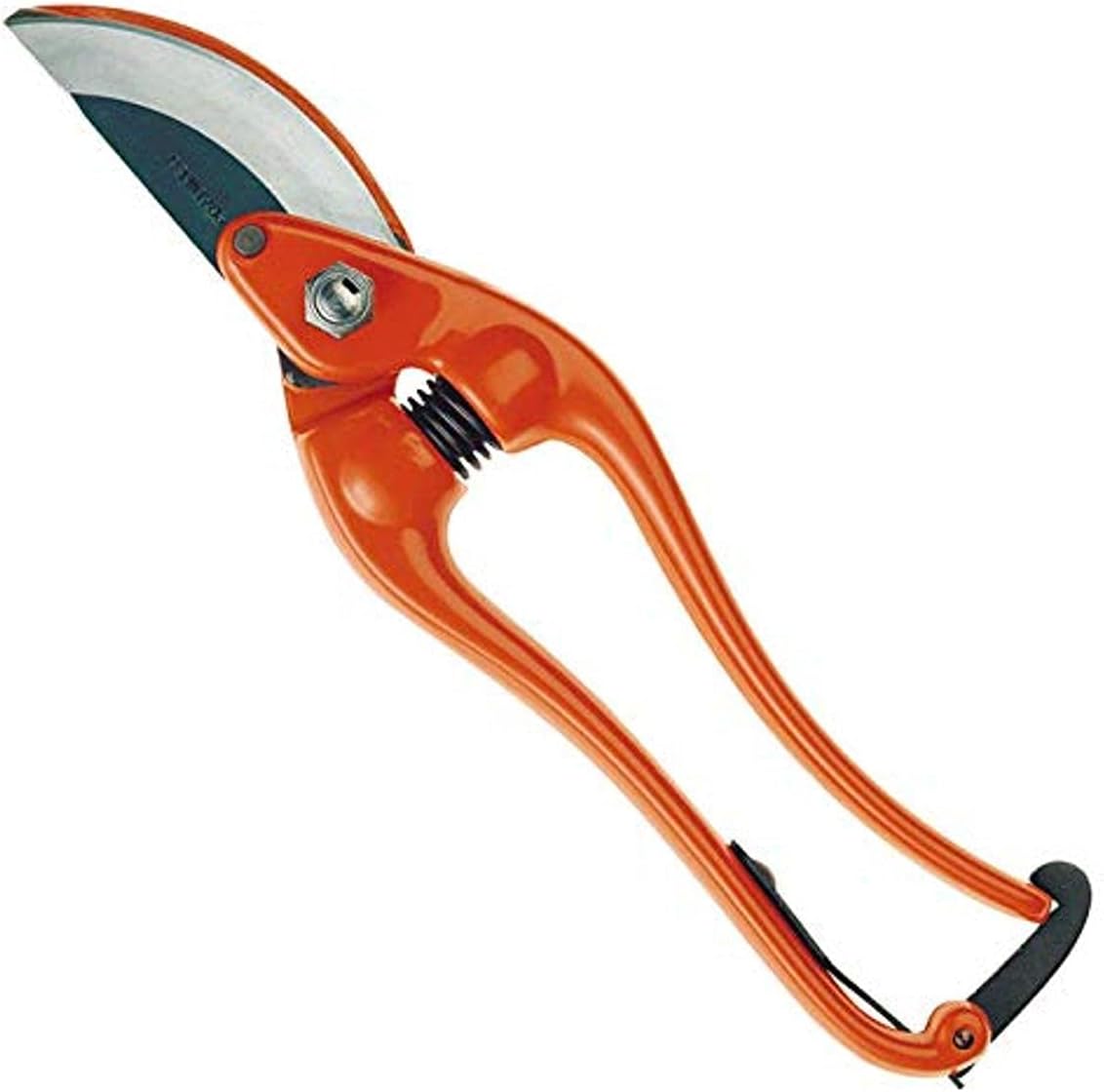 Podadera 1Mano, Gran Cabeza De - immagine 1