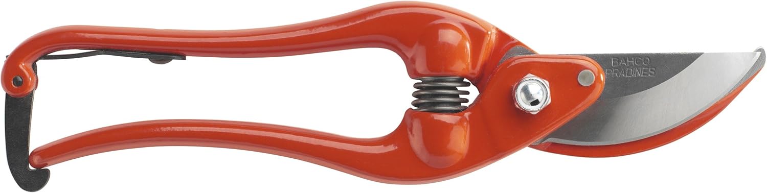 Podadera 1Mano, Gran Cabeza De - immagine 2