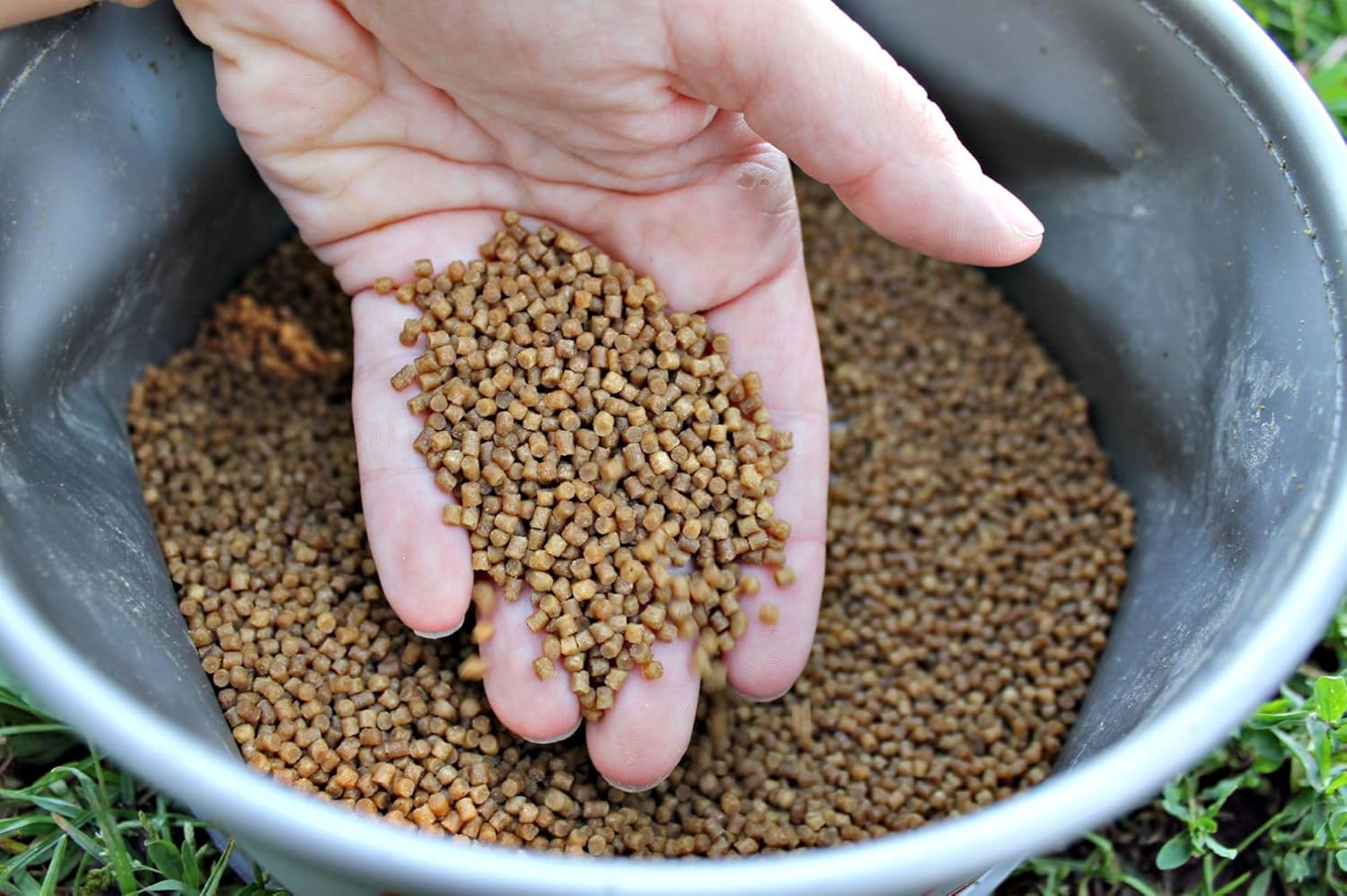 Tandem Baits Set 4 Session Method Feeder Box Fish - immagine 6