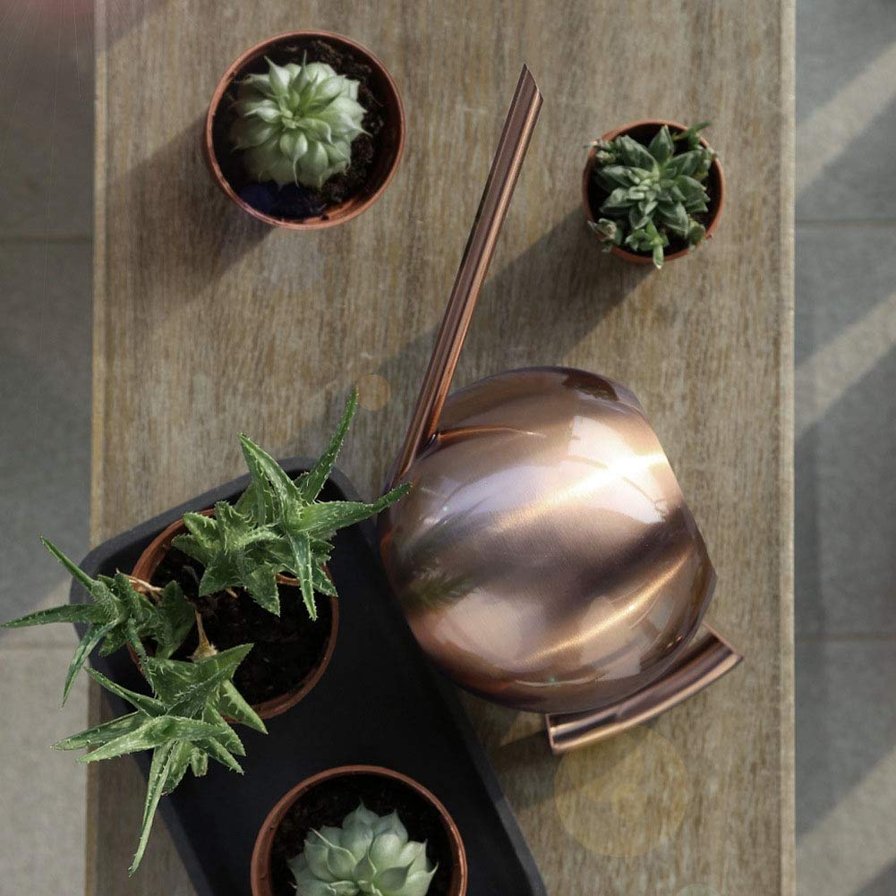 aqxreight Annaffiatoio in acciaio inox con apertura lunga per giardino, fiori, piante, attrezzi per irrigazione (bronzo)