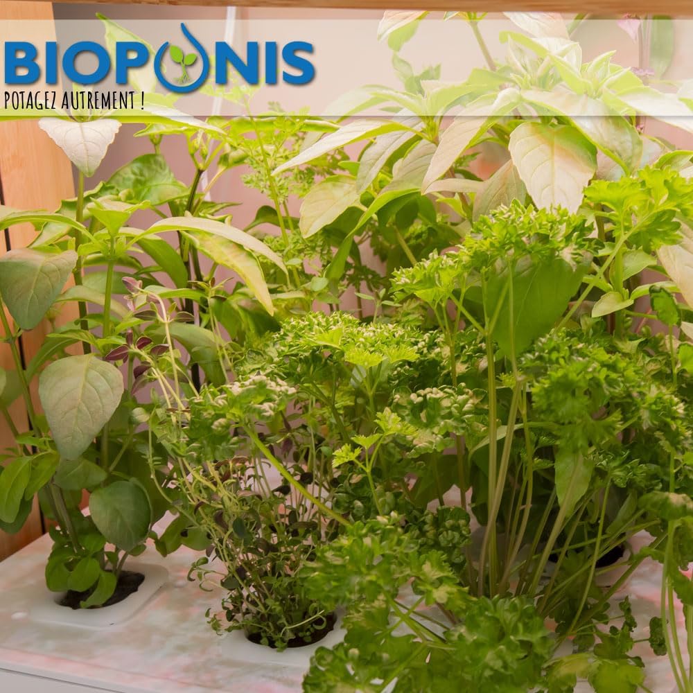 Bioponis Bamboo 1 - Orto Idroponico da Interno - immagine 2