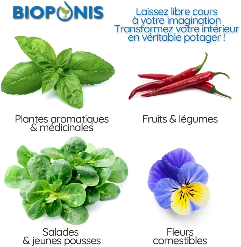 Bioponis Bamboo 1 - Orto Idroponico da Interno - immagine 5