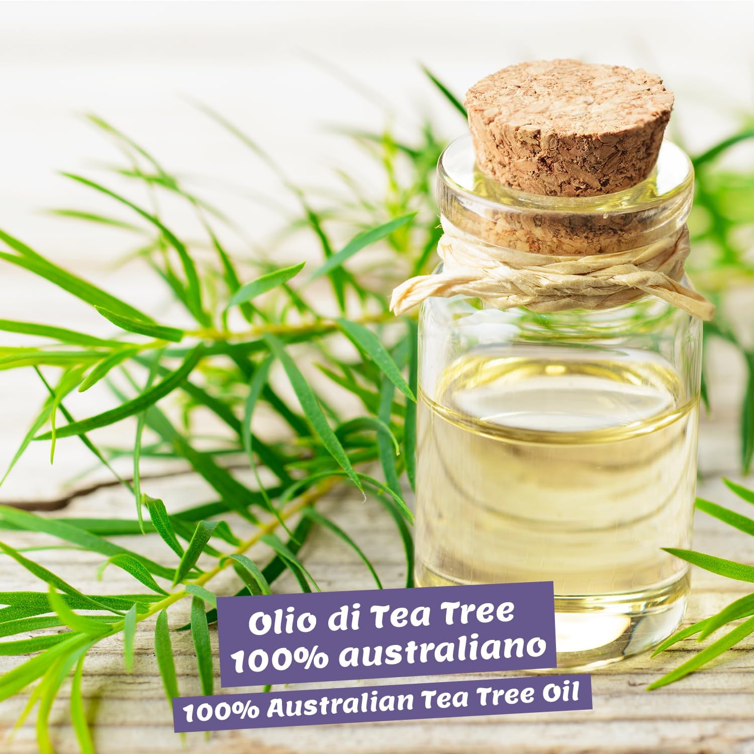 Tea Tree Oil 50ml con Pipetta - Olio Puro Biologico - immagine 3