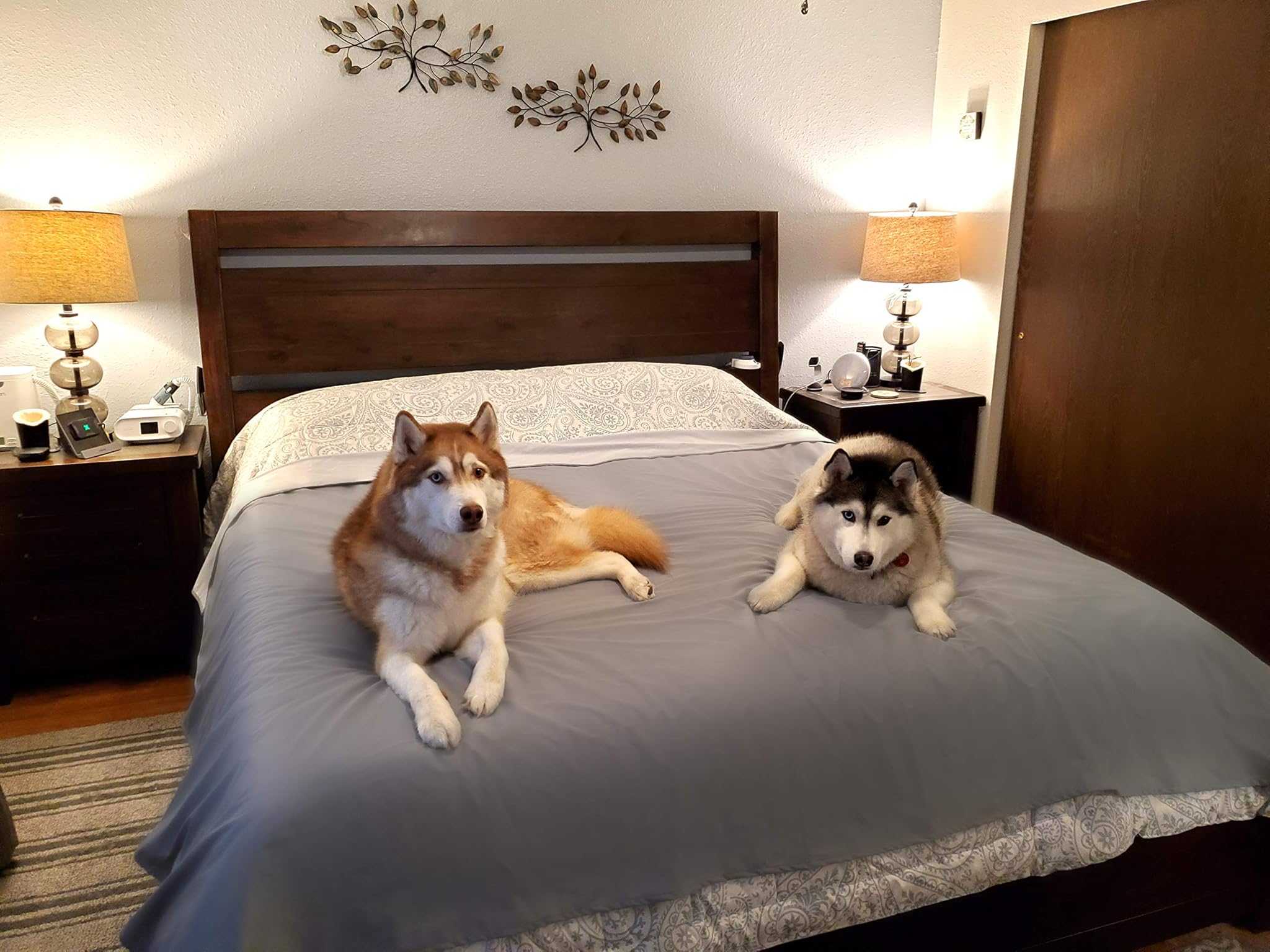 SILLY LEGACY Copertura Protettiva Reversibile Impermeabile