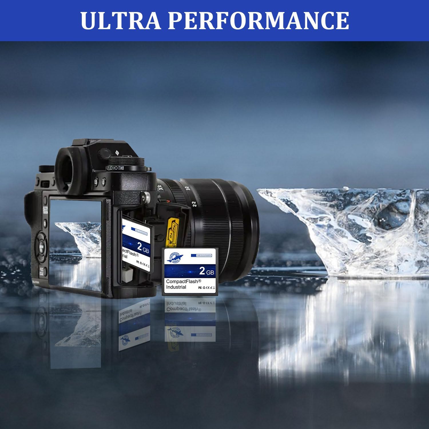 Dogfish Compact Flash Scheda di Memoria 2GB 10PACK - immagine 5