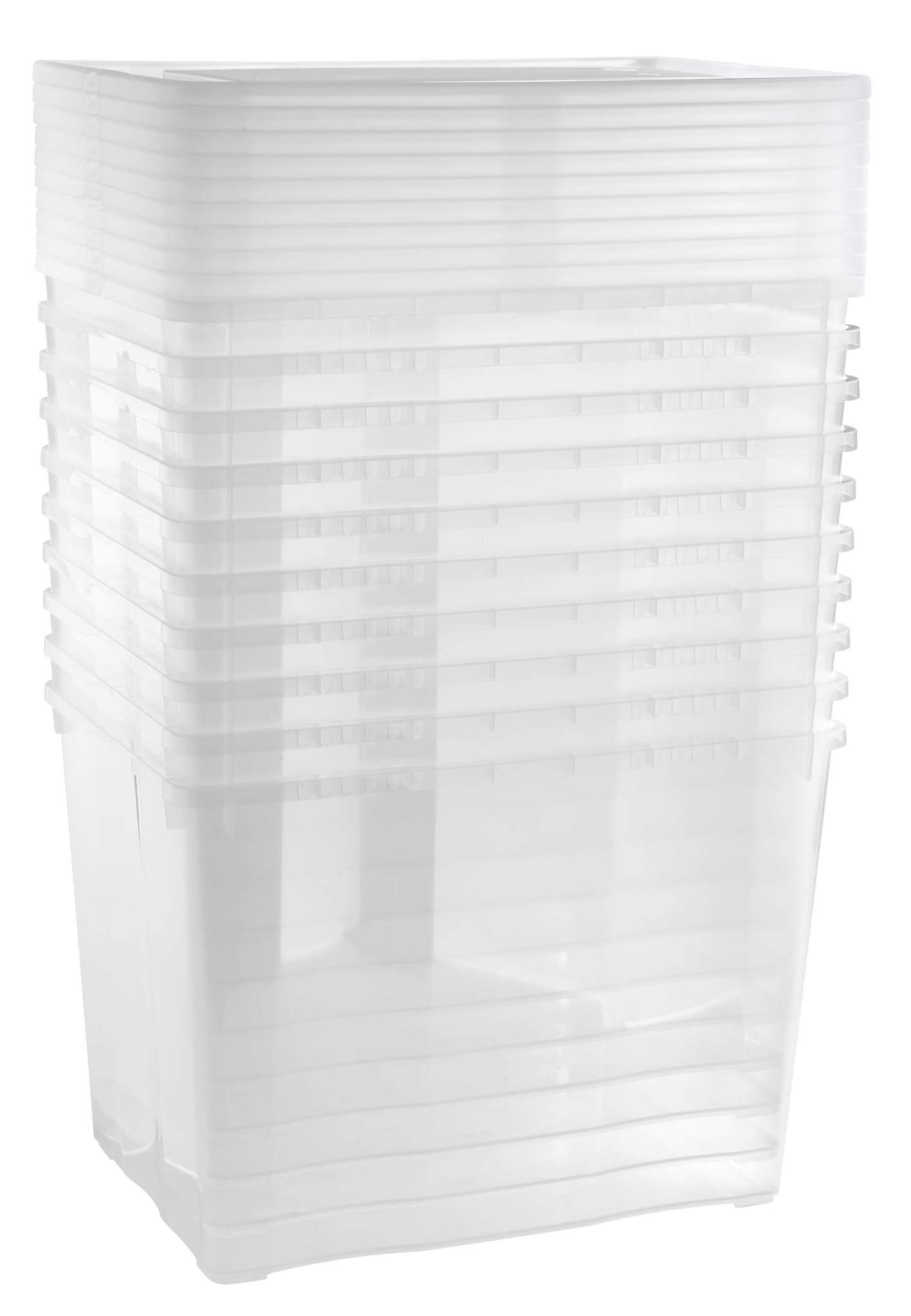 Grizzly Scatole di Stoccaggio 10x20L Trasparenti