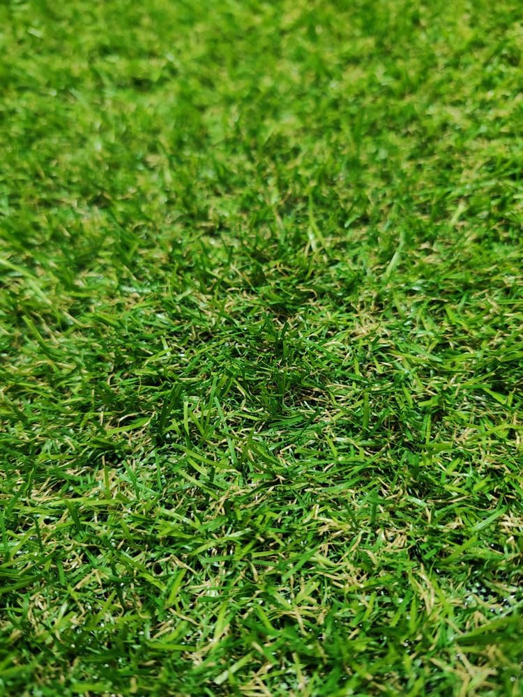 Tadi & Imperio1979 Rotolo Tappeto Erboso Artificiale 20mm - immagine 4