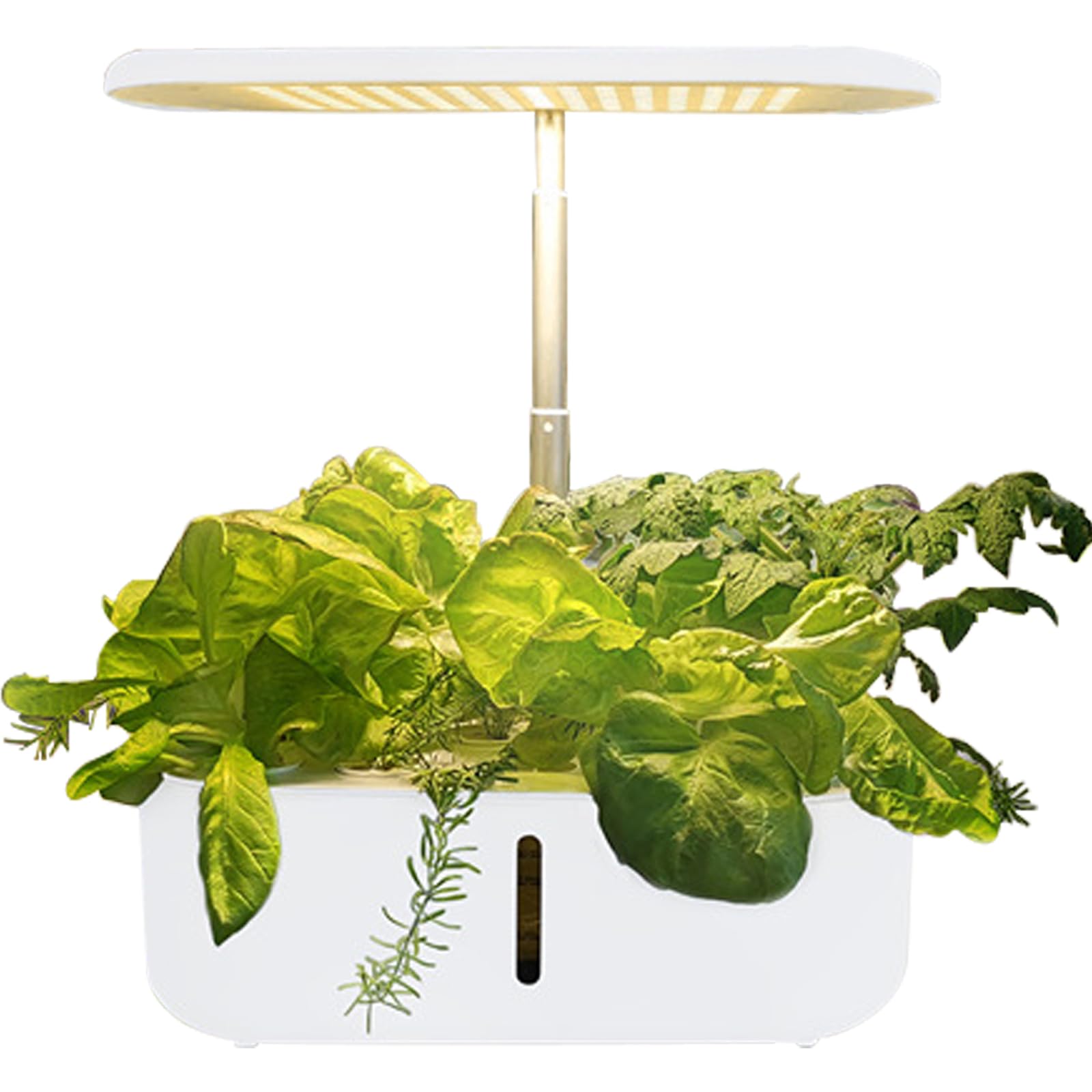 Holzsammlung Smart Garden Idroponico per 10 Piante, Bianco