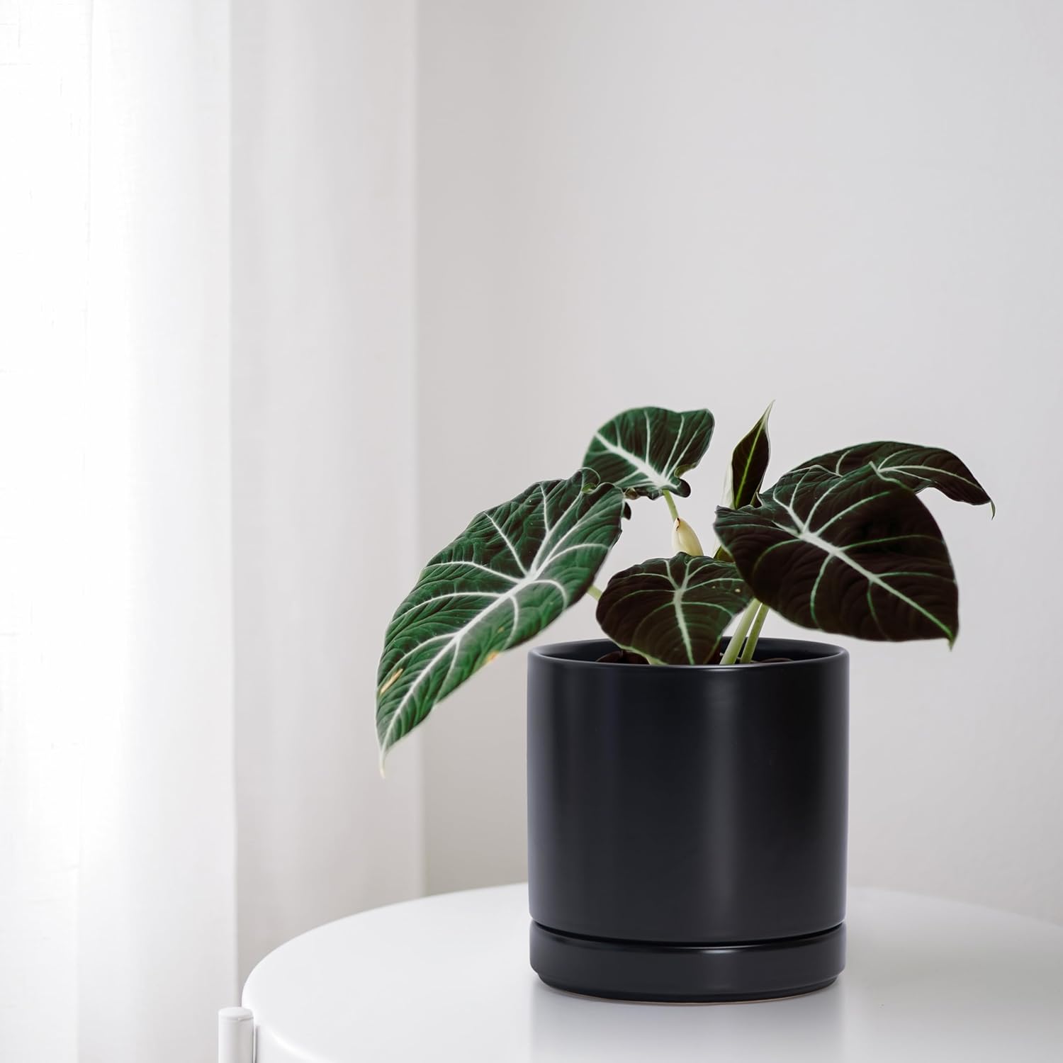 D'vine Dev Vaso Ceramica Rotondo 15,2cm, Nero - immagine 5