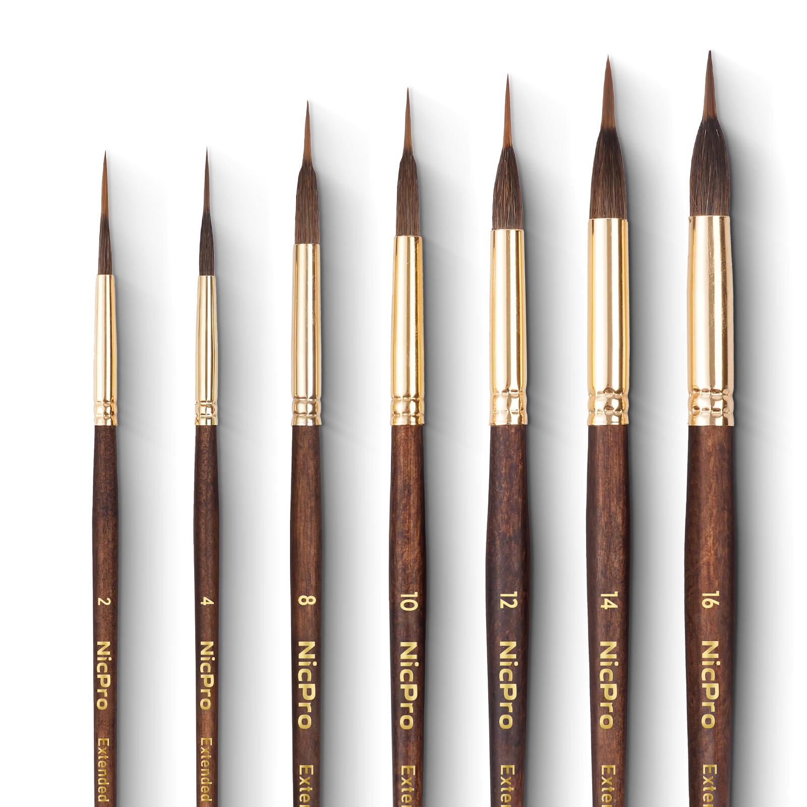 Nicpro 8 Pennelli Acquerello Professionali in Martora