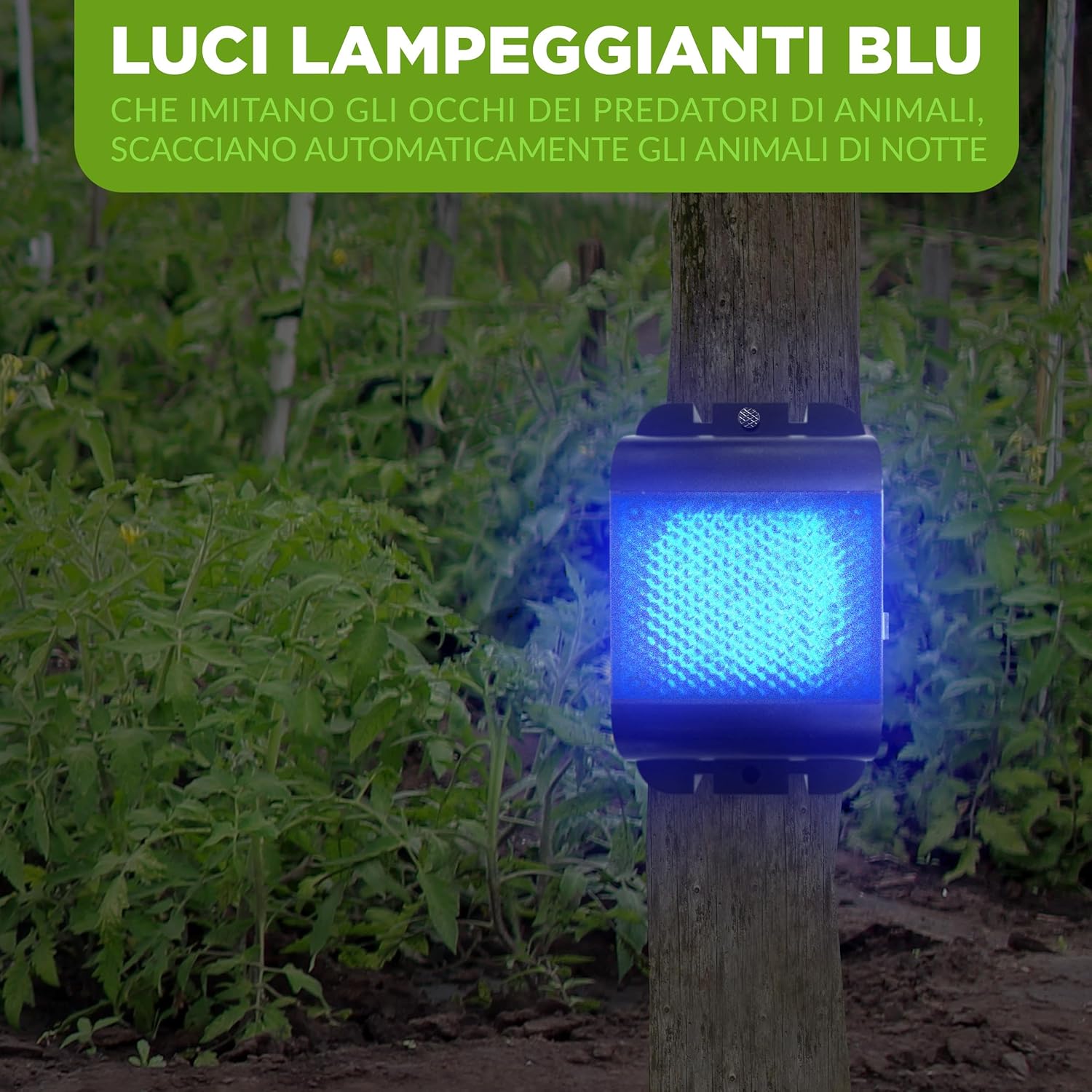 Isotronic Repellente per Animali Selvatici con LED Blu - immagine 2