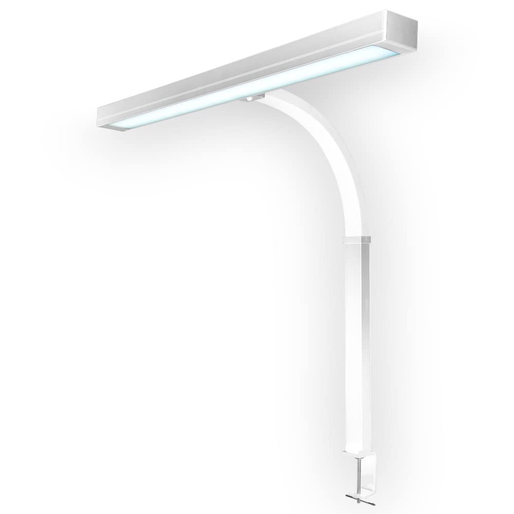 Neatfi Lampada da Scrivania LED Moderna con Morsetto