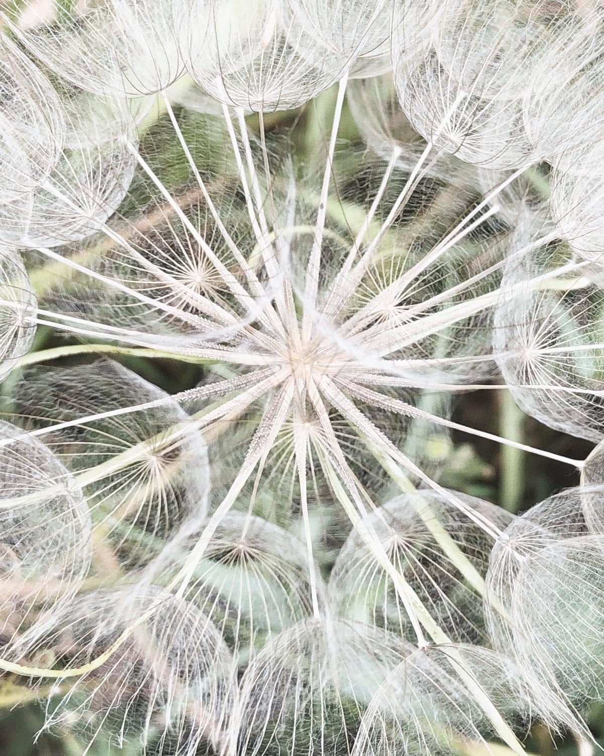 Rasch Carta da Parati 364101 Magicwalls 2,65m x 2,12m