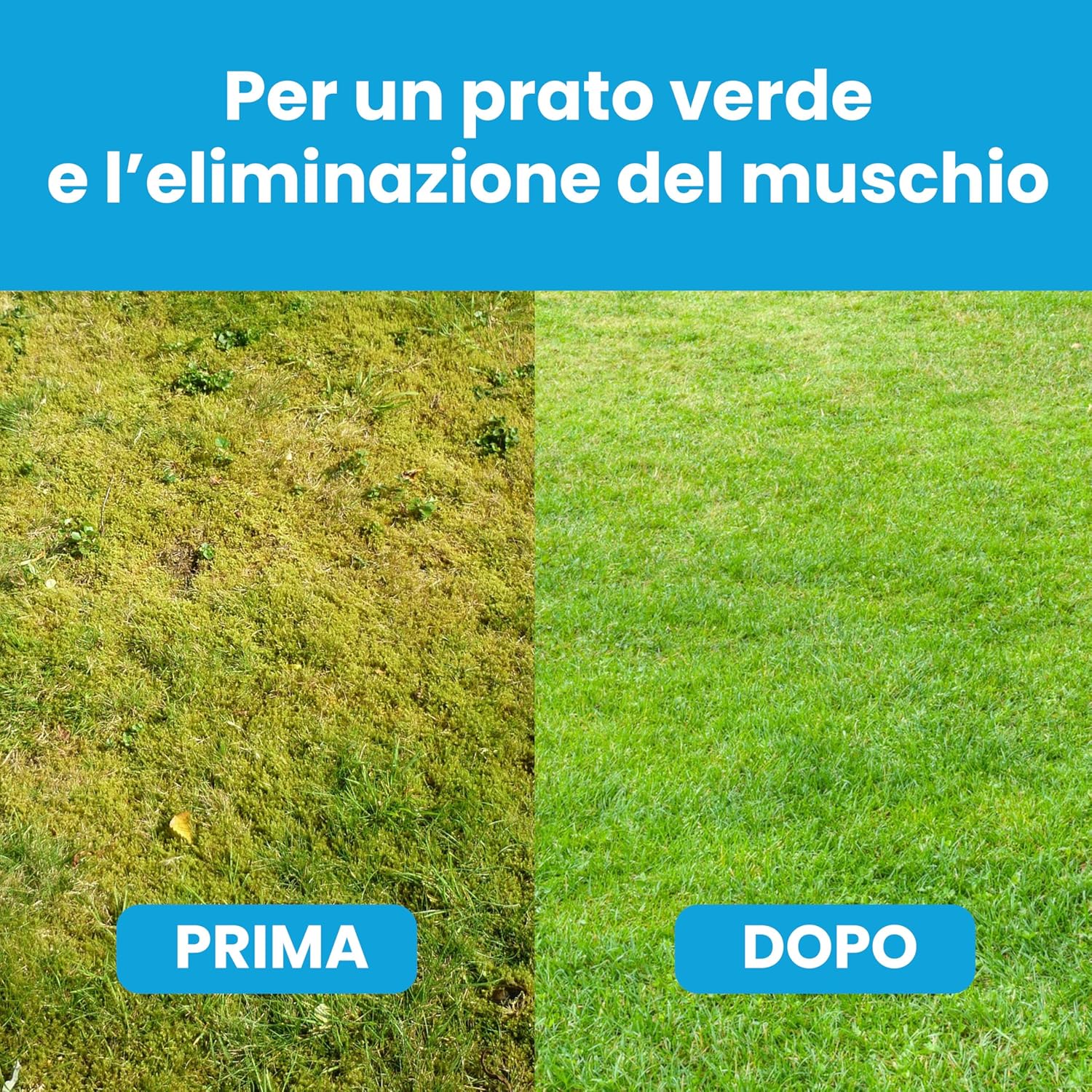 Lerava® Solfato di Ferro Antimuschio 50m² - immagine 2