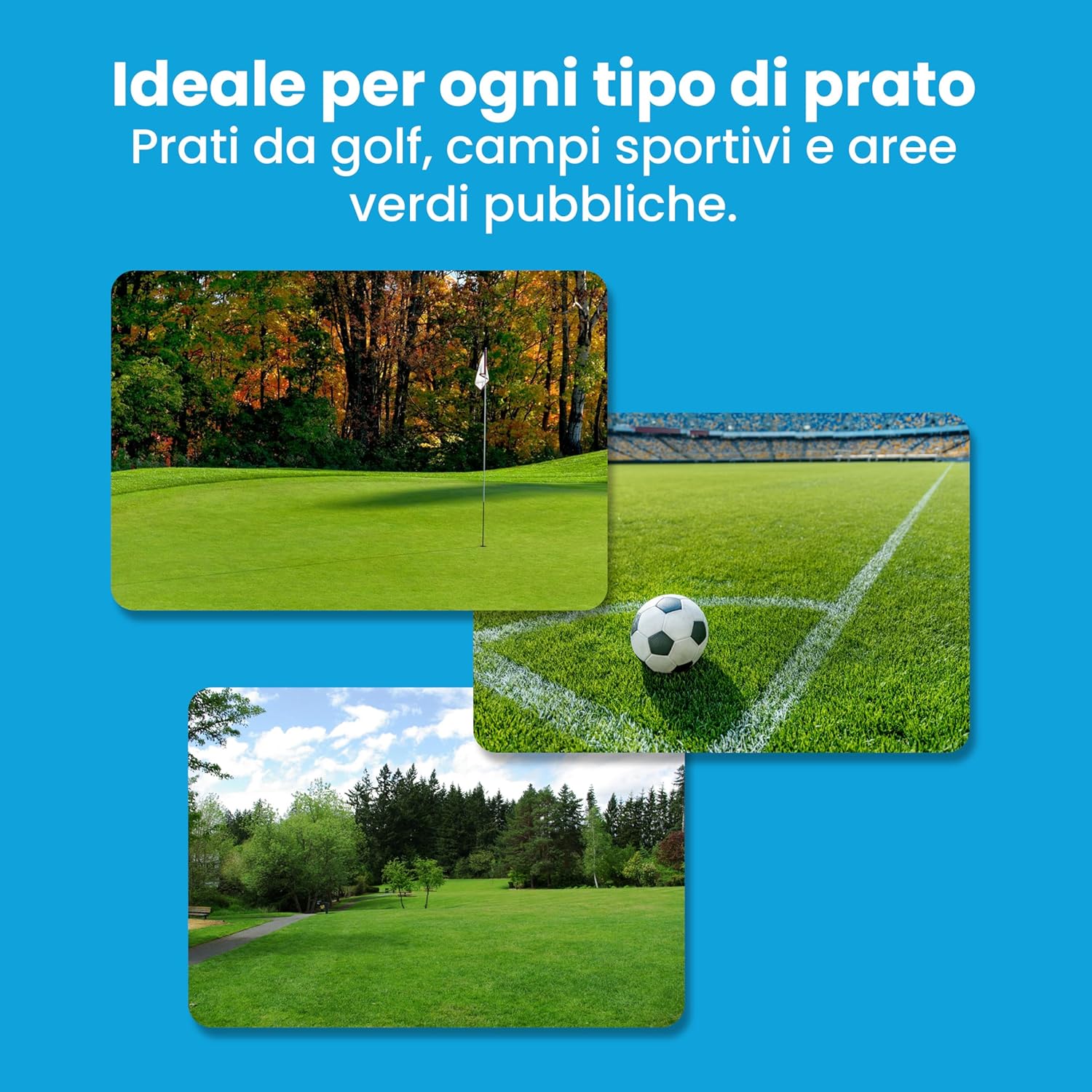 Lerava® Solfato di Ferro Antimuschio 50m² - immagine 4