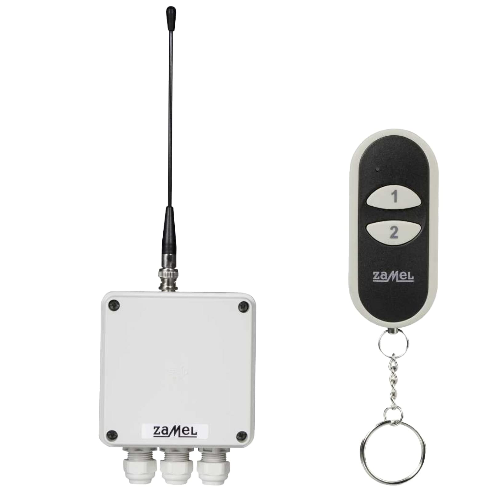 Etero interruttore Wireless Set con trasmettitori, 2 canali, 1 pezzo, rws 211d/N