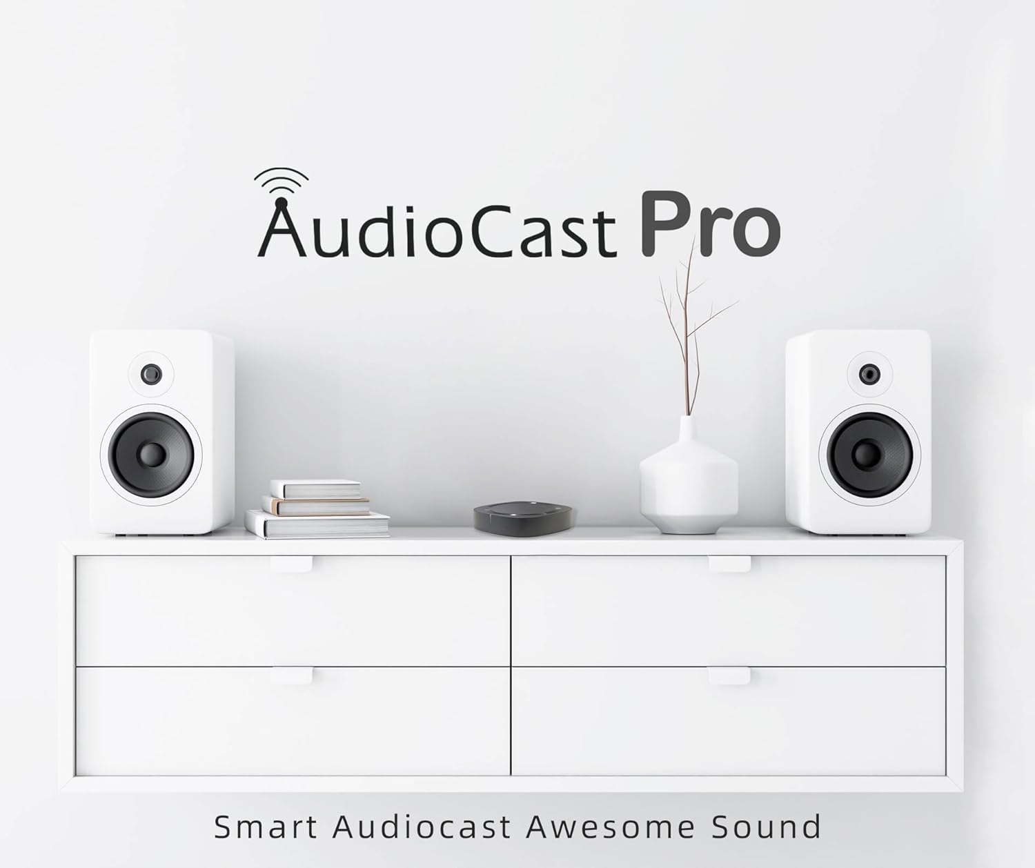 Audiocast Ricevitore Audio Wireless WiFi Multiroom - immagine 2