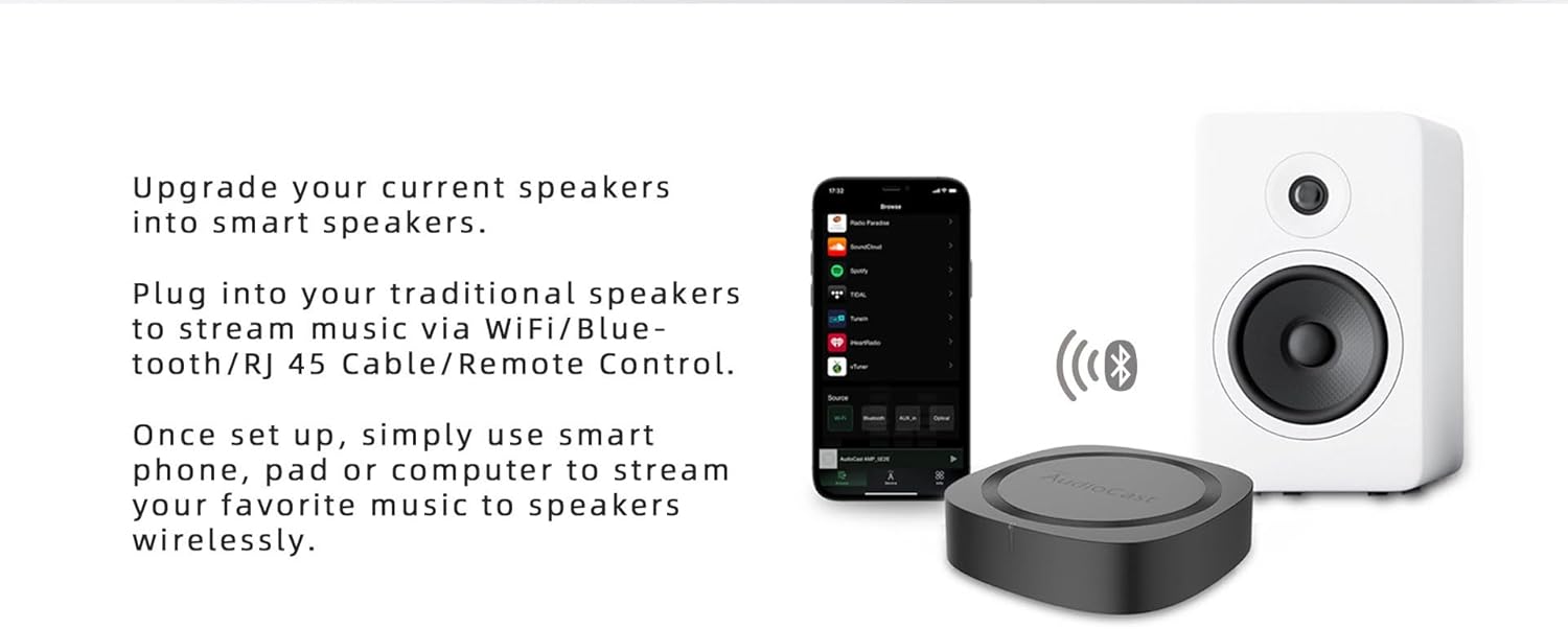 Audiocast Ricevitore Audio Wireless WiFi Multiroom - immagine 3