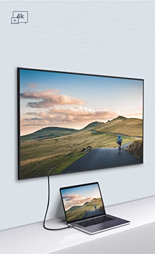 CAKOBLE Cavo USB-C to USB-C 3.1 Gen2 100W 2M - immagine 3