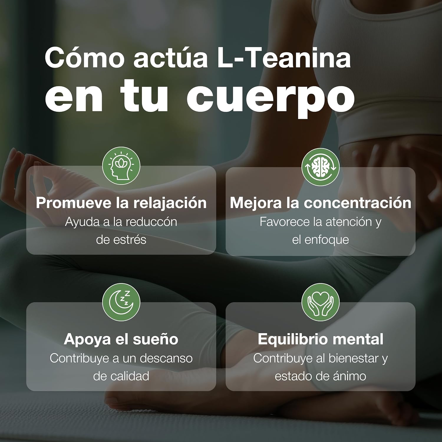 L TEANINA 200mg - Estratto di Tè Verde Vegano - immagine 2