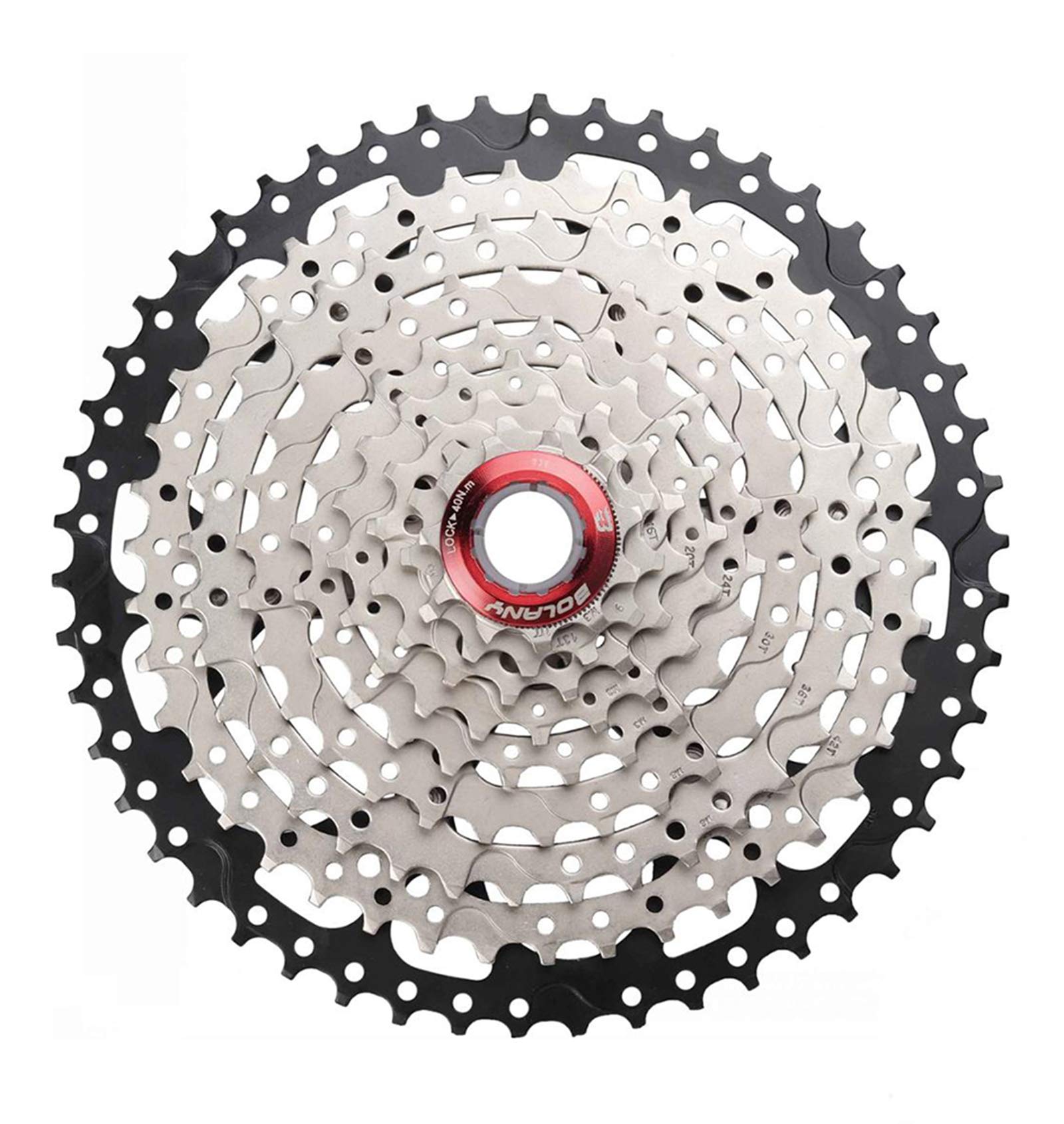 Bolany Pignone Cassetta Bici 10 Velocità 11-50T