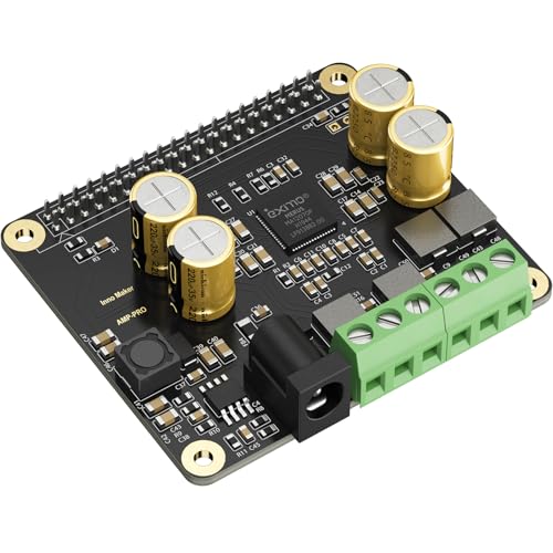 Innomaker Amplificatore Audio Classe D HiFi AMP Pro V2 HAT