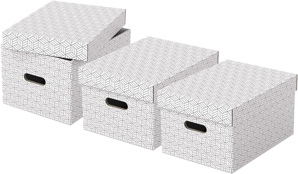 Esselte Set 3 Contenitori Medi con Coperchio - immagine 1