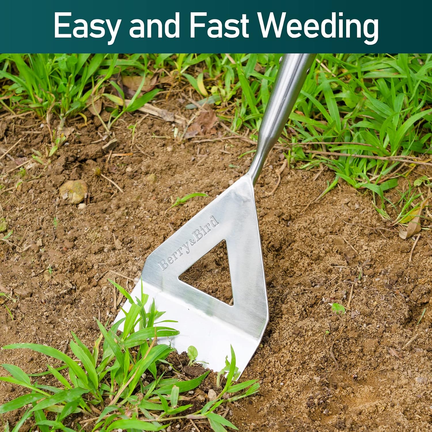 Berry&Bird Haws Zappa olandese - immagine 5