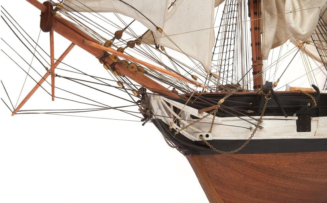 Occre Beagle 12005 - Kit modello scala 1:60 - immagine 4