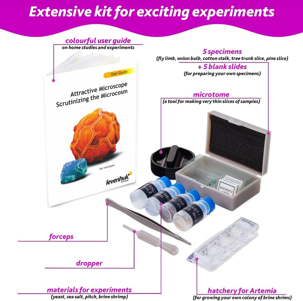 Levenhuk LabZZ M101 Amethyst - Microscopio Bambini 640x - immagine 4
