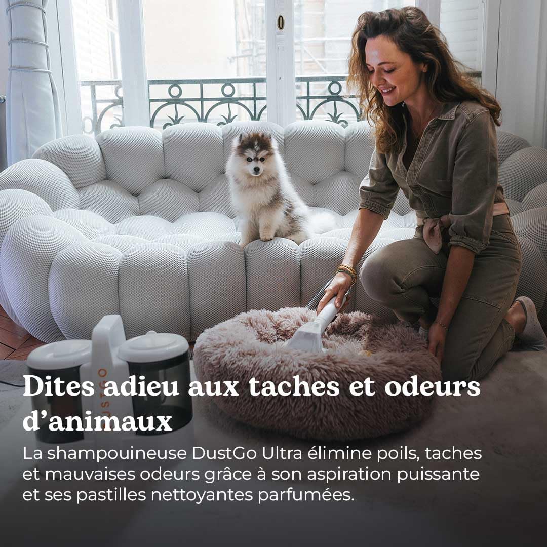 Shampouineuse per Divano e Tappeti 600W - immagine 4