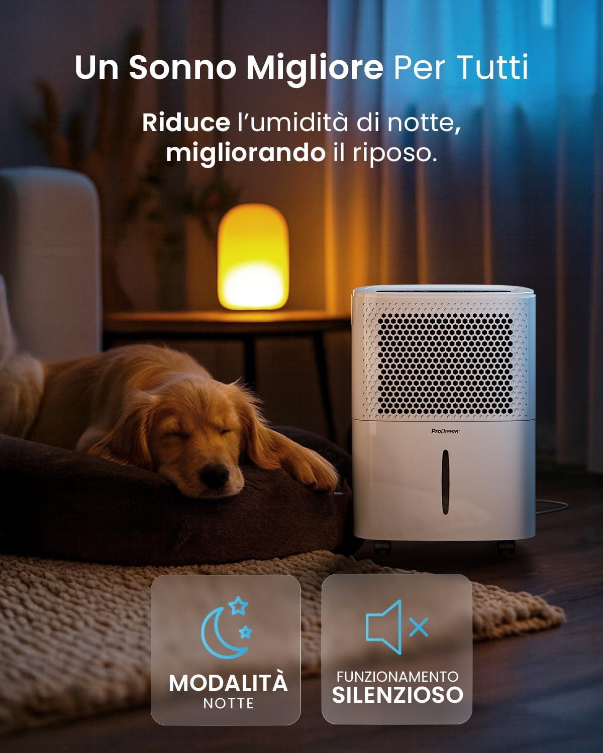 Pro Breeze Deumidificatore Smart 12L/Die Eco - immagine 3