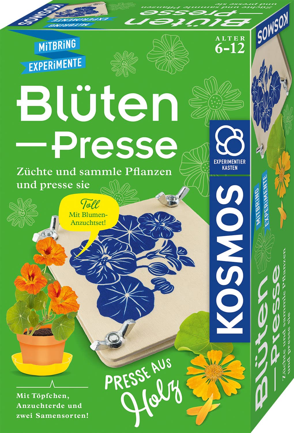 Kosmos Stampa Floreale