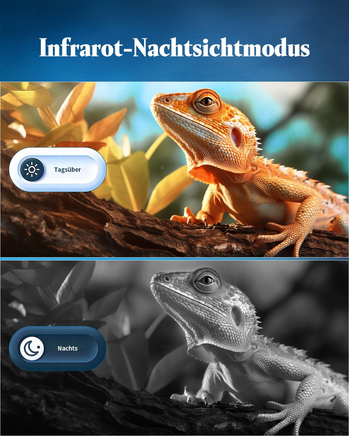 Bodycam Mini 1080P con SD 64GB e Schermo Touch HD - immagine 6