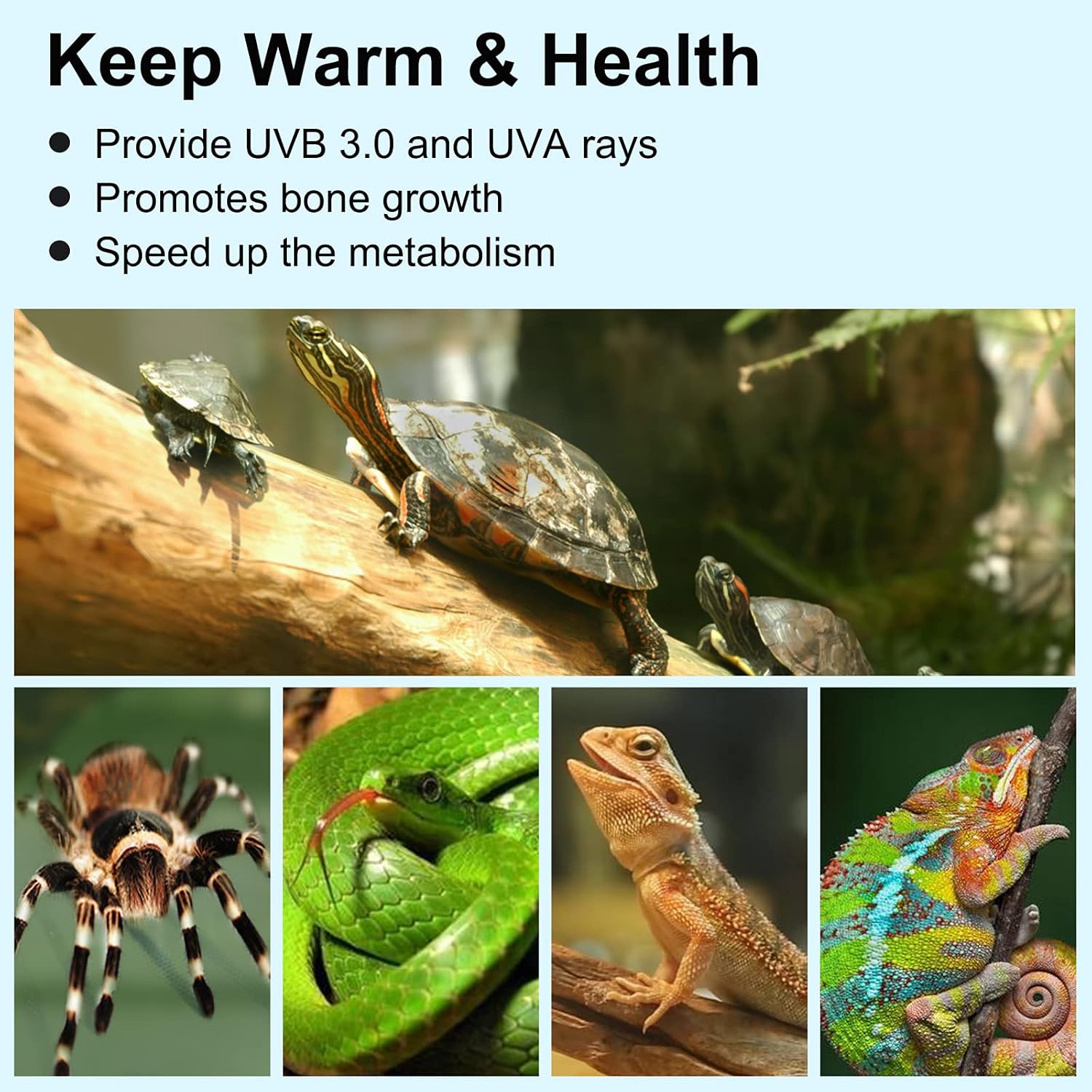 Pewingo Lampada UVB per Rettili e Anfibi - immagine 2