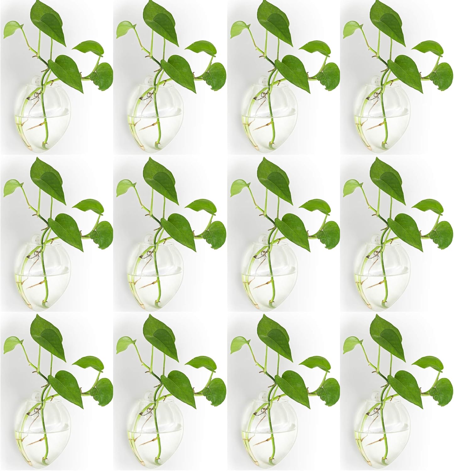 12 Pezzi Fioriere in Vetro Appese a Parete