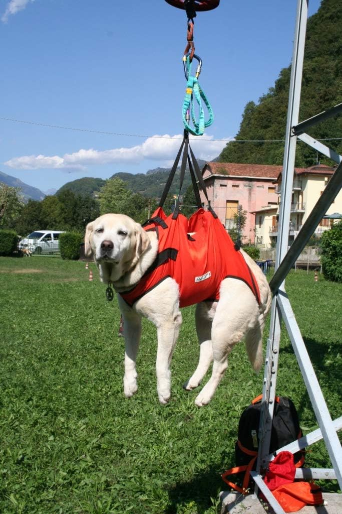 TAXI SZ 4 - immagine 2