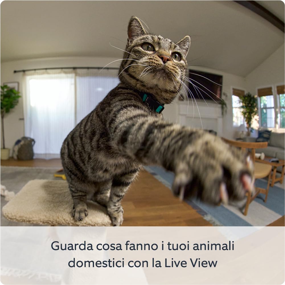 Ring Videocamera Interna Inclinabile (Pan-Tilt Indoor) - immagine 4