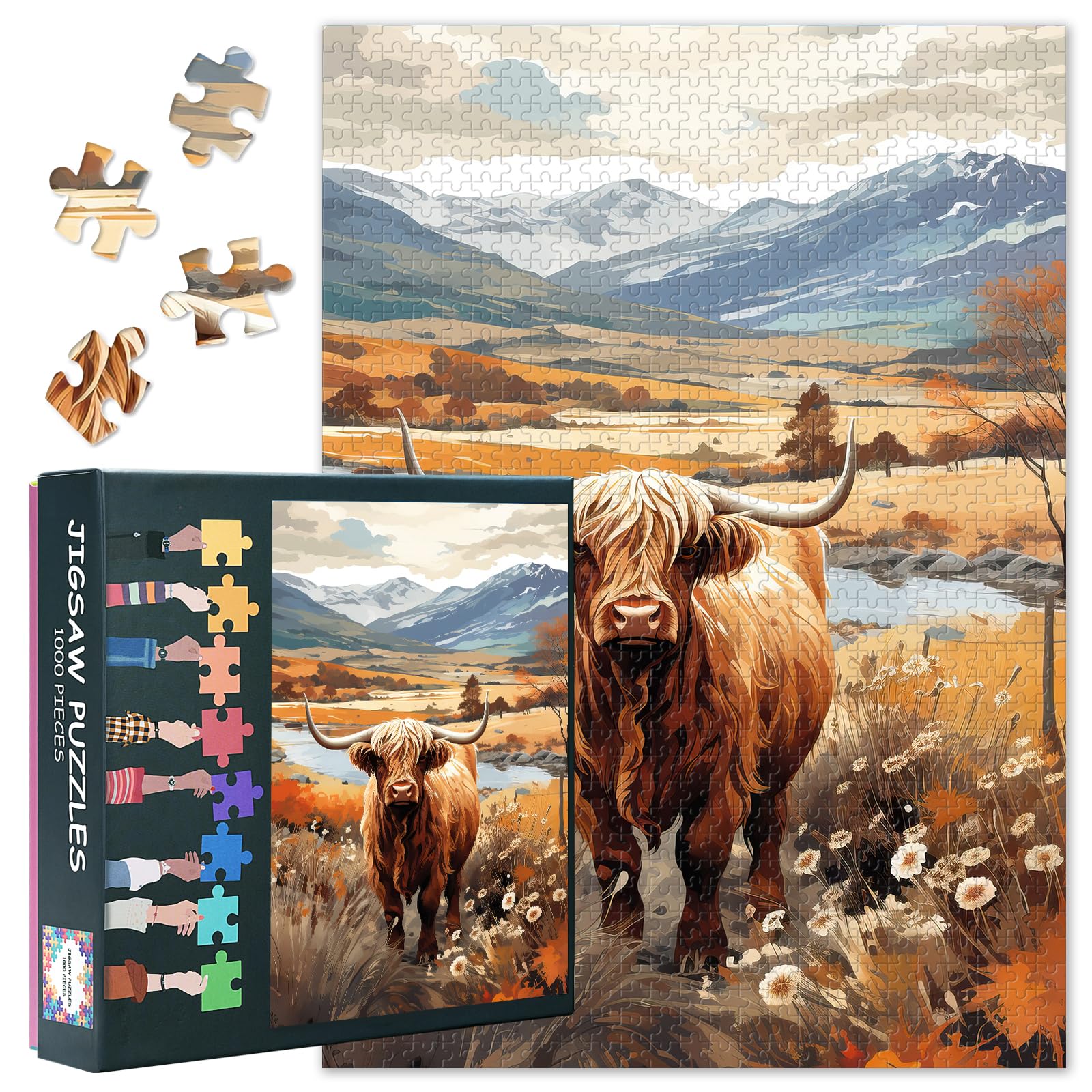 Mucca Delle Highland