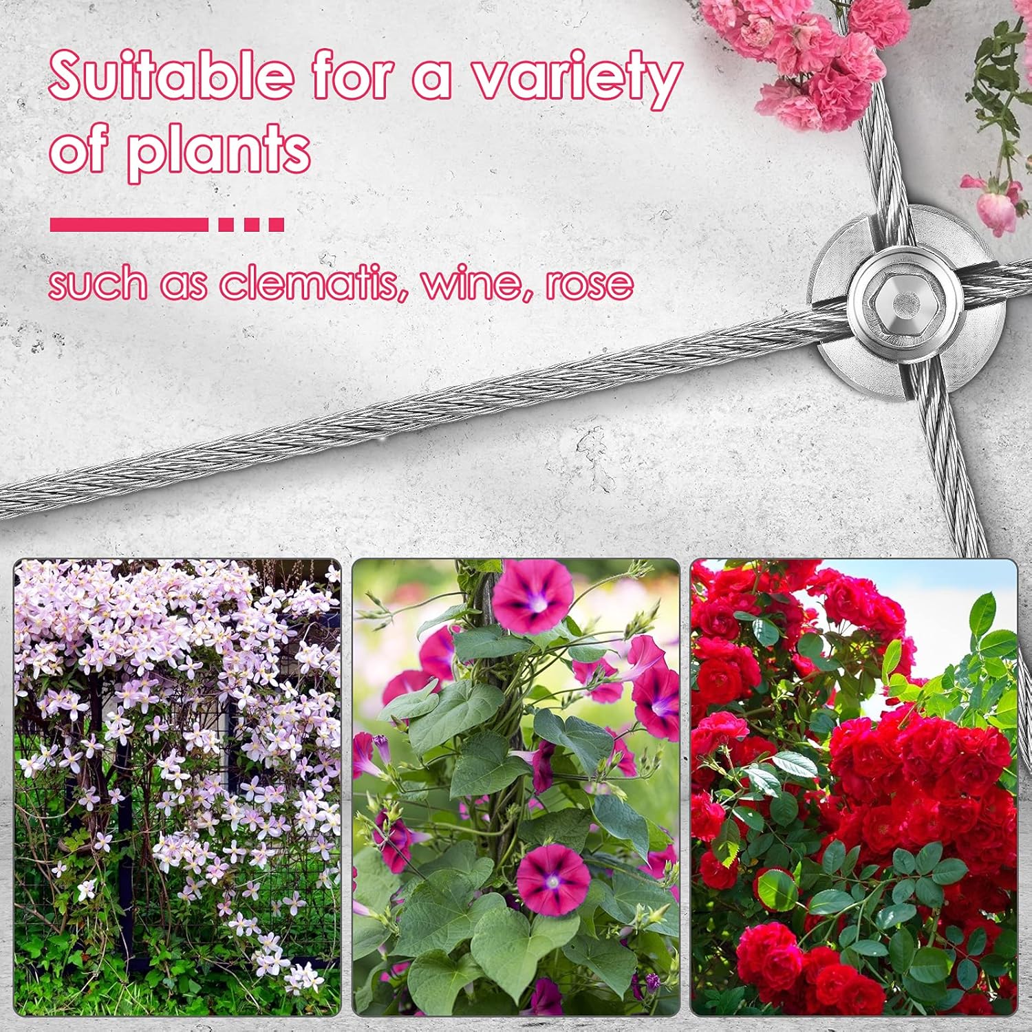 Hlieeosfcn Supporto per Piante Rampicanti a Traliccio - immagine 8