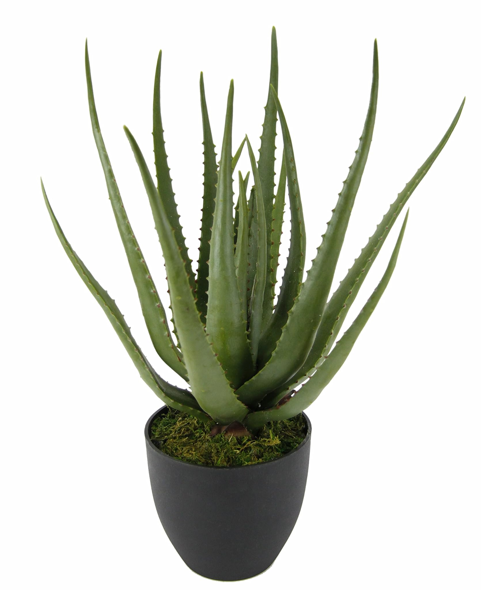 151413 GN Aloe I. pentola, Plastica, Verde, 56 x 20 x 20 cm