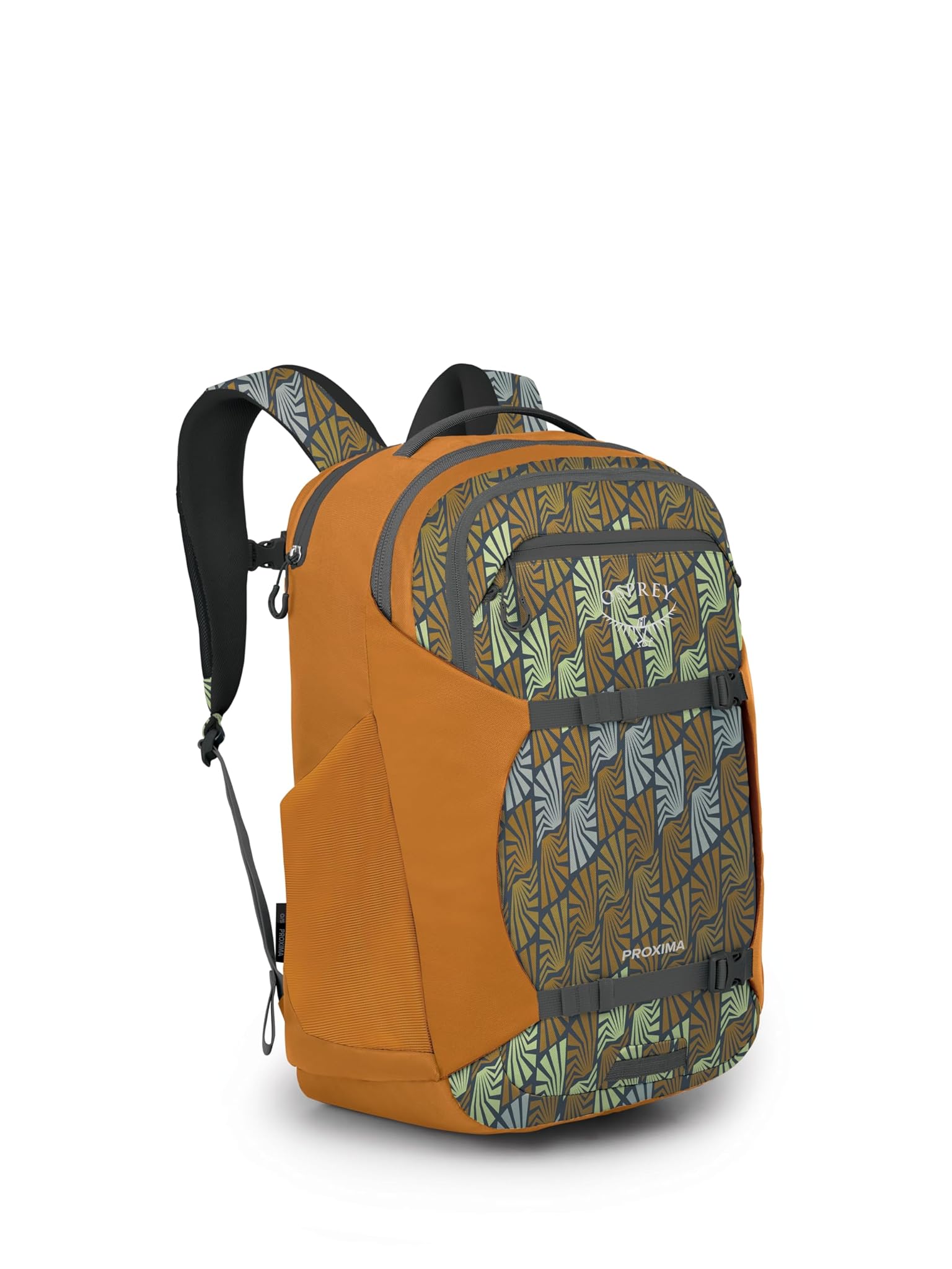 Osprey Backpack