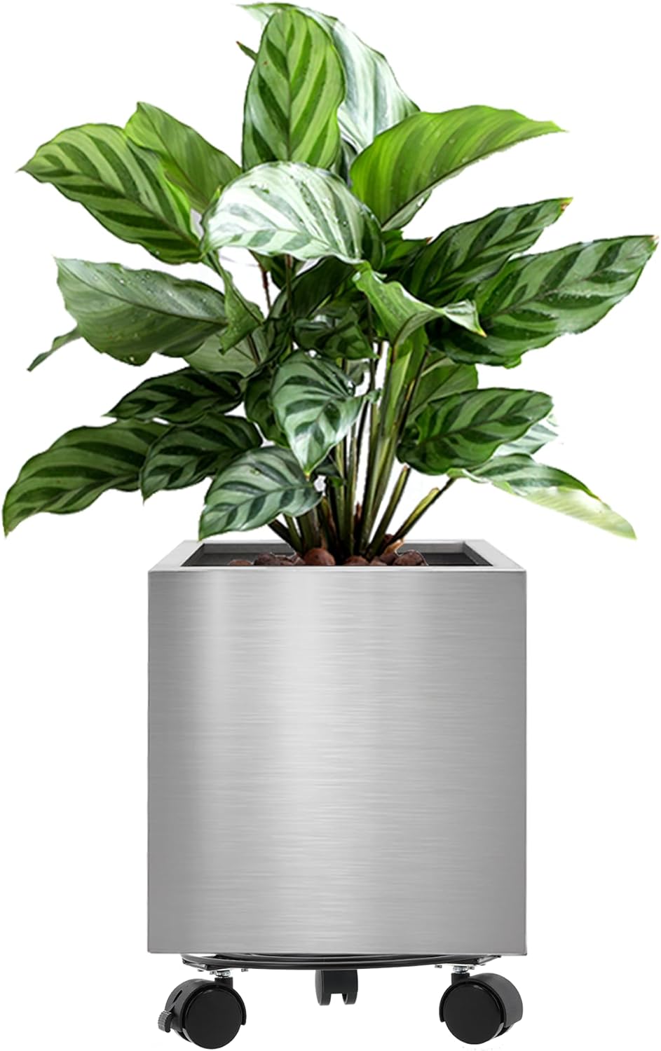 LONGRUN Vaso da Fiori Quadrato Acciaio Inox 25cm