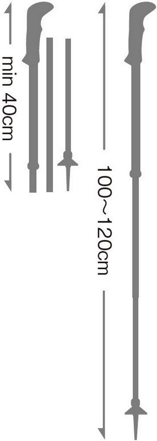 Leki Bastoncini Cressida FX Carbon, brownmetallic-Mint-Chocolate, 100-120cm - immagine 3