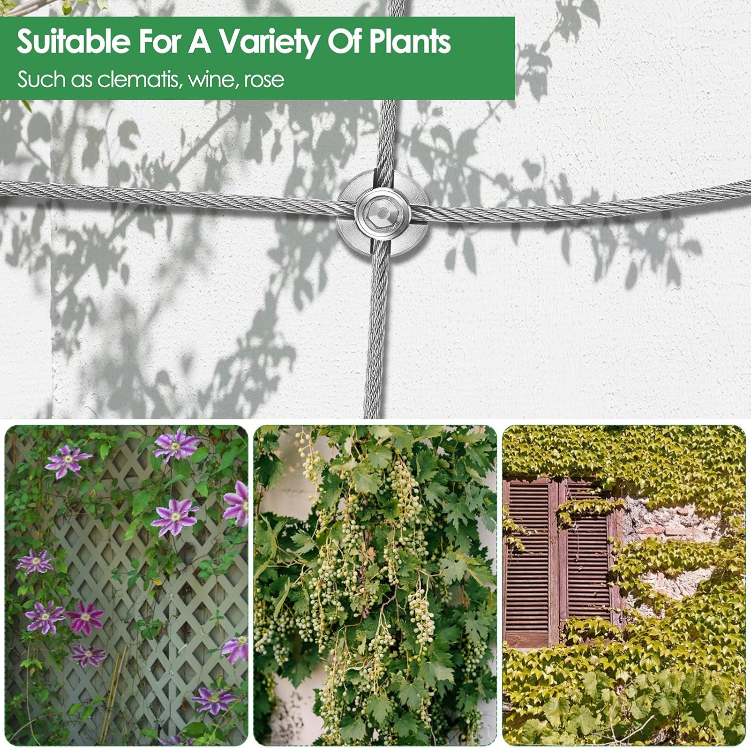 Supporto per Impianti di Arrampicata 16m - immagine 5