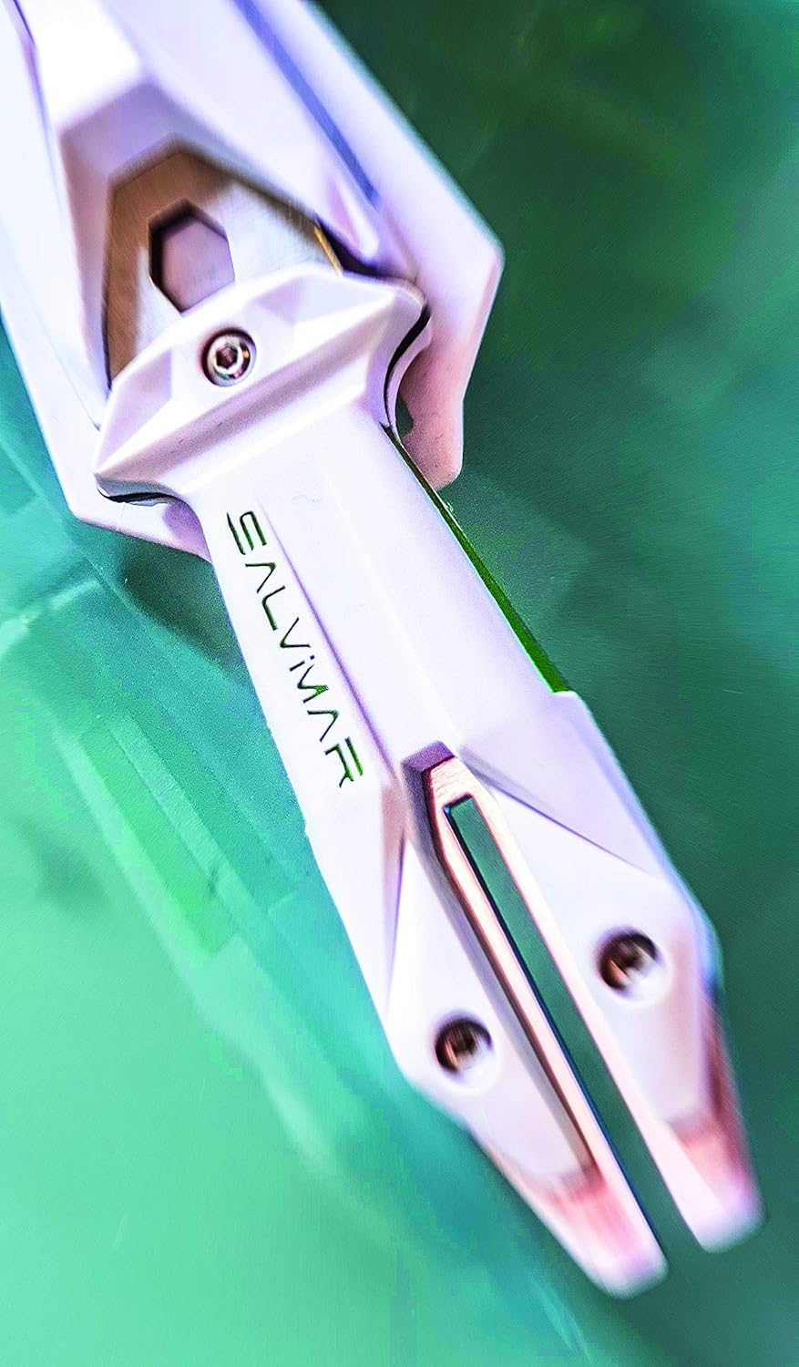 Salvimar Goemon - immagine 2