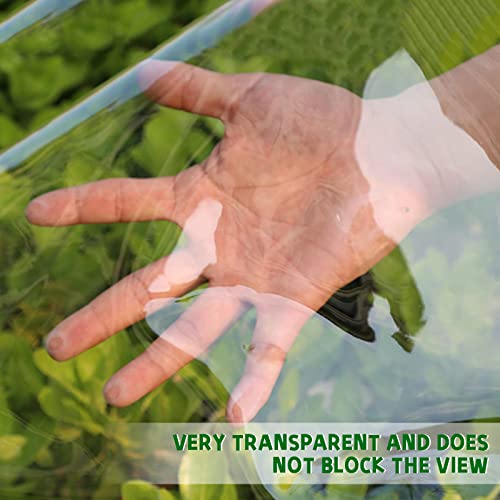 Okyuk Telone Trasparente con Occhielli 2x3m - immagine 4